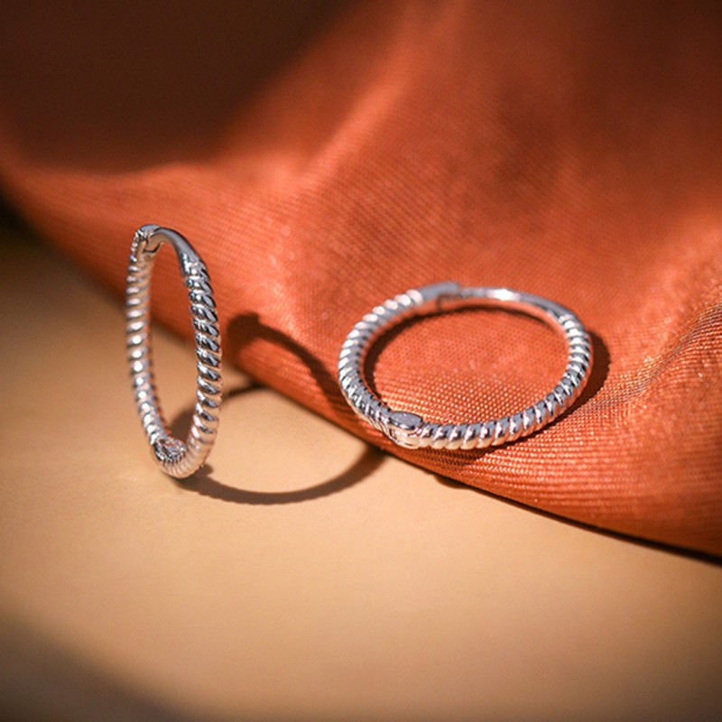 Minimalist Style High-End Feeling Plain Hoop Earrings 