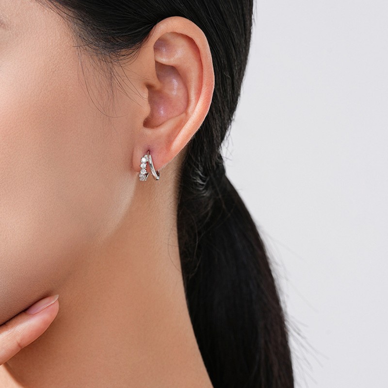 Double-layer Micro-set Zircon Niche Design Fashion Ear Hoops