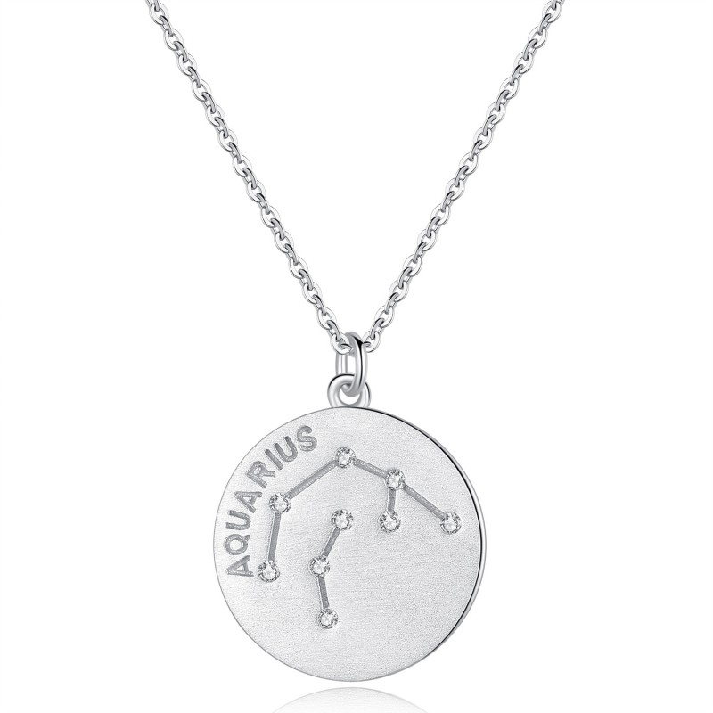 Platinum Plated 12 Constellation Necklace