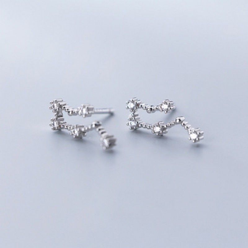 Inlaid Diamond Twelve Constellation Earrings