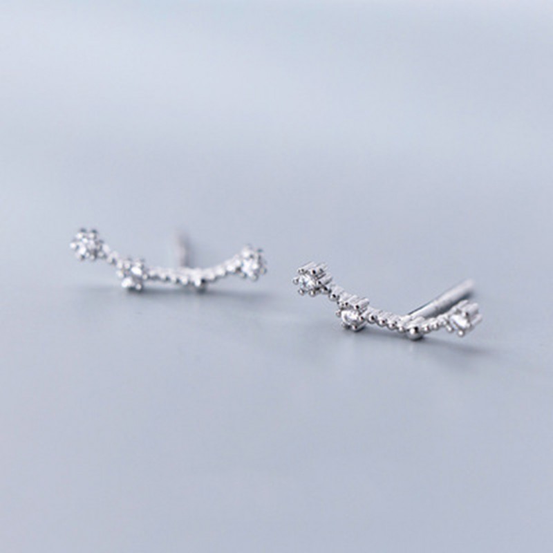 Inlaid Diamond Twelve Constellation Earrings