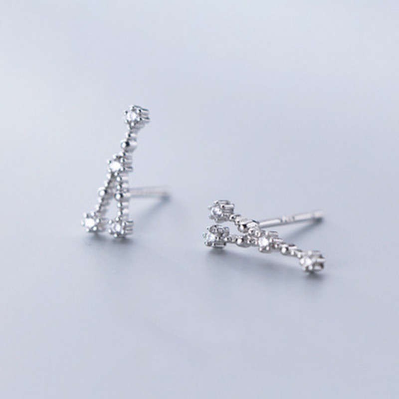 Inlaid Diamond Twelve Constellation Earrings