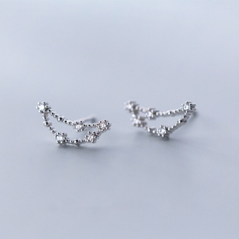 Inlaid Diamond Twelve Constellation Earrings