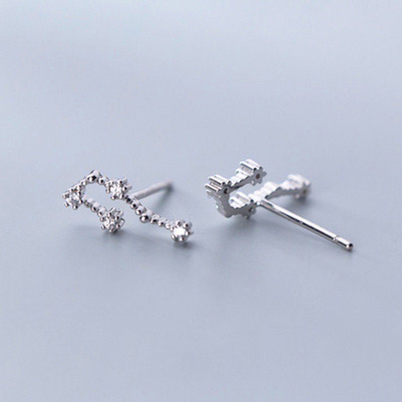 Inlaid Diamond Twelve Constellation Earrings