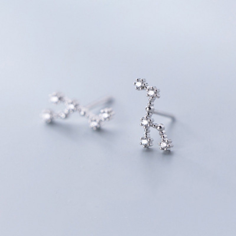 Inlaid Diamond Twelve Constellation Earrings