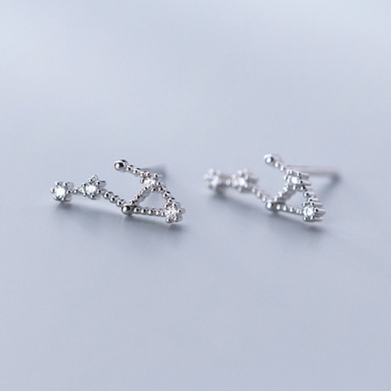 Inlaid Diamond Twelve Constellation Earrings