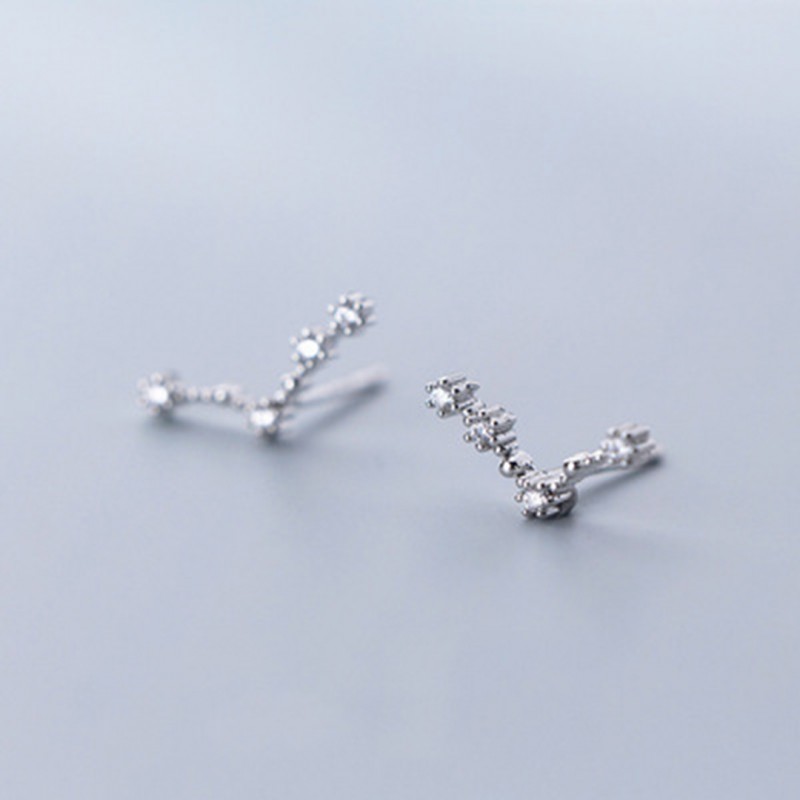 Inlaid Diamond Twelve Constellation Earrings