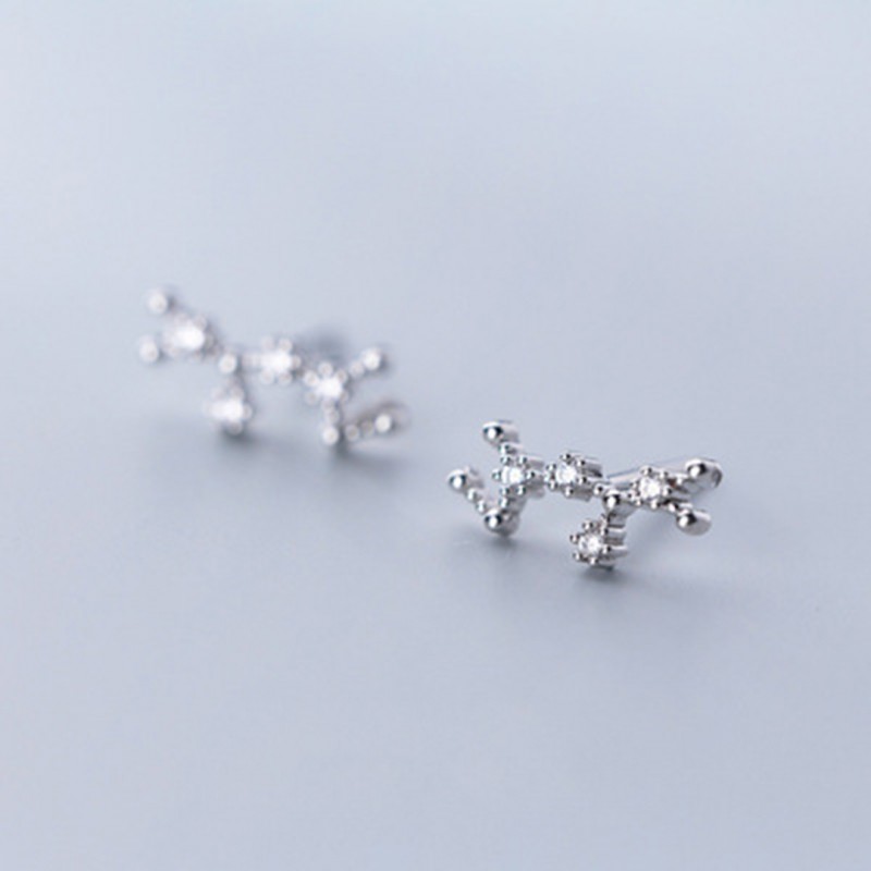 Inlaid Diamond Twelve Constellation Earrings