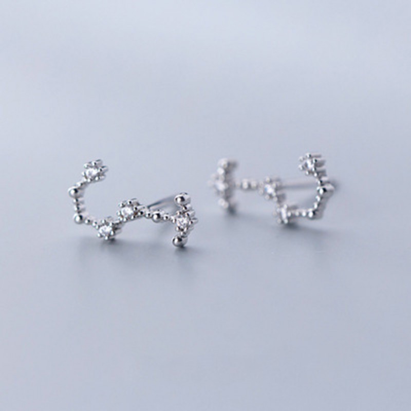 Inlaid Diamond Twelve Constellation Earrings