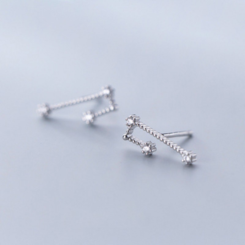 Inlaid Diamond Twelve Constellation Earrings