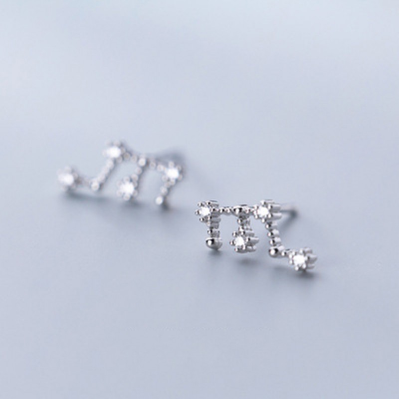 Inlaid Diamond Twelve Constellation Earrings