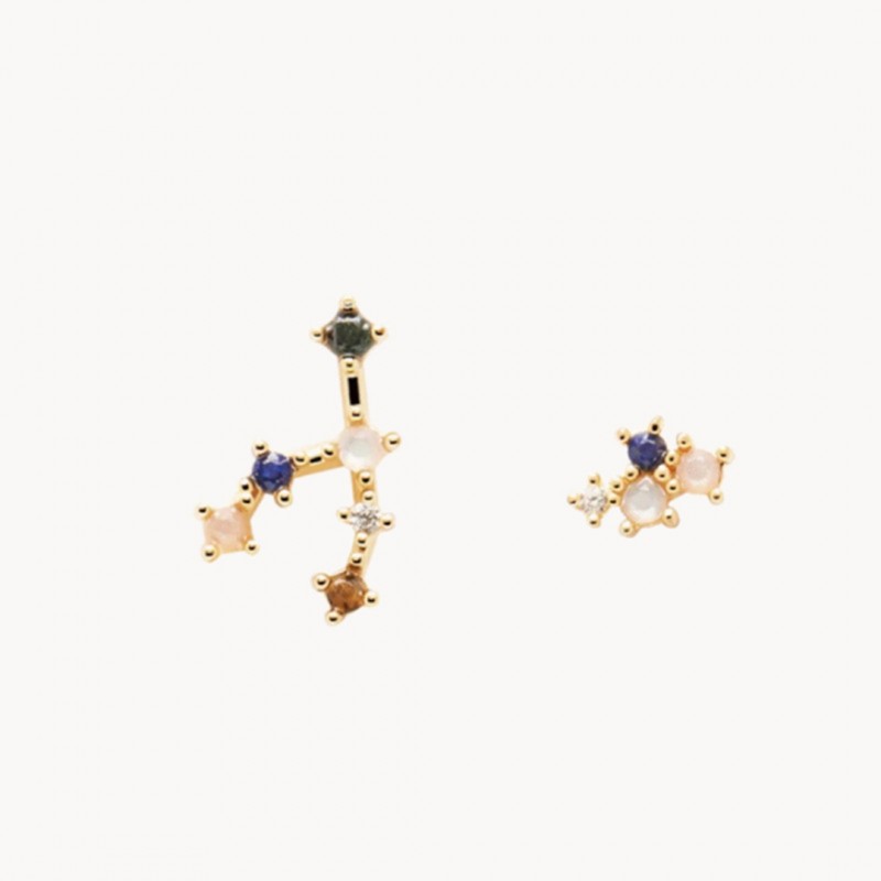 Twelve Constellations Simple Retro Earrings